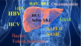 Hepatit_Klinik_Yaklasim_Kurs