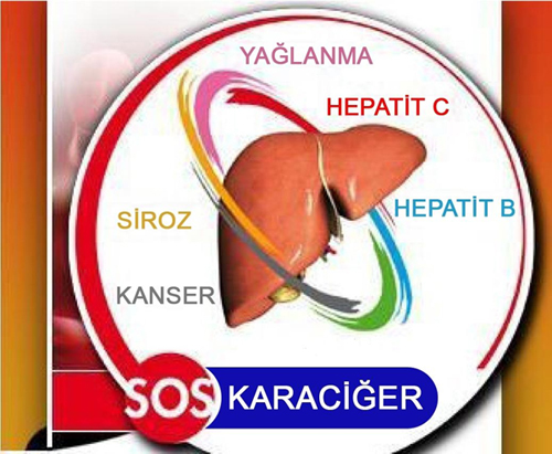 Karaciğer Hastalıkları